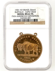 Pan American Exposition Medal [197362]