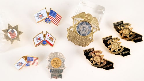 California Law Lapel Pinbacks (8) [190604]