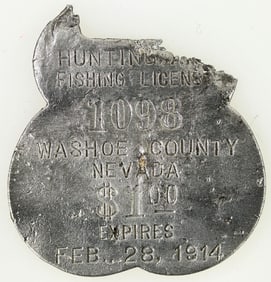 Hunting/Fishing License, Washoe County, 1914 [198467]