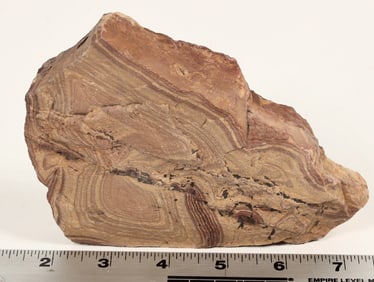 Picture Rock from the Gold Bar Mine, Eureka County, NV [199383]