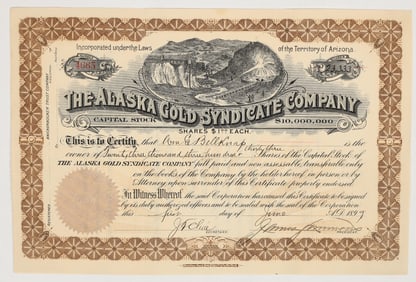 Alaska Gold Syndicate Company Stock Certificate, 1899 [201543]