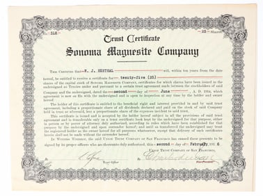 Sonoma Magnesite Company Stock Certificate, 1916 [200875]