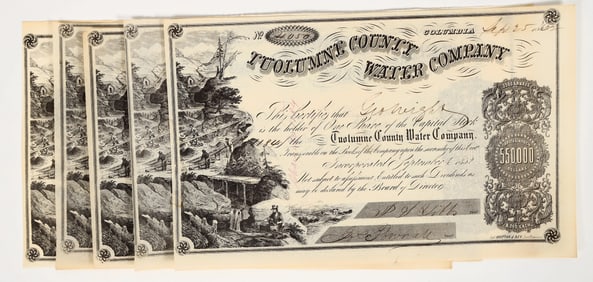 Tuolumne County Water Company Stock Group (5) (Gold Rush) [200856]