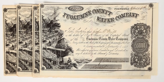 Tuolumne County Water Company Stock Group (5) (Gold Rush) [200857]