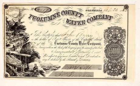 Tuolumne County Water Company Stock [199914]