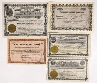 Nevada Mining Grab Bag Stocks [195206]