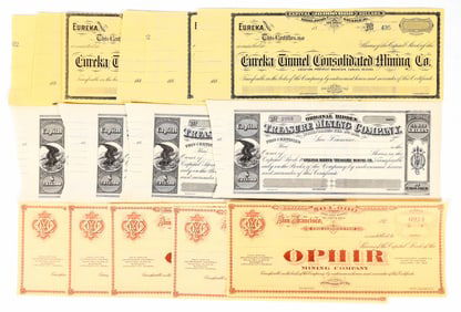 Nevada Unissued Mining Stock Group [200882]