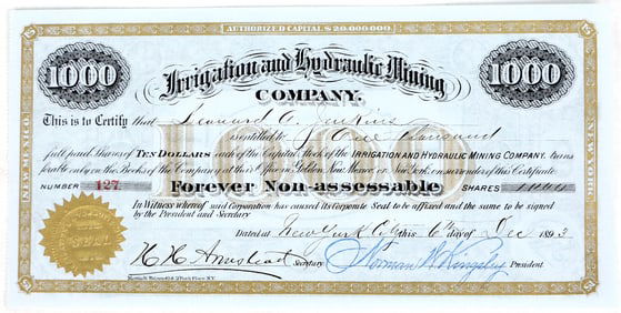 Irrigation & Hydraulic Mining Co. Stock [195029]