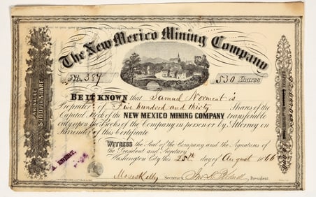 The New Mexico Mining Company Stock [199345]