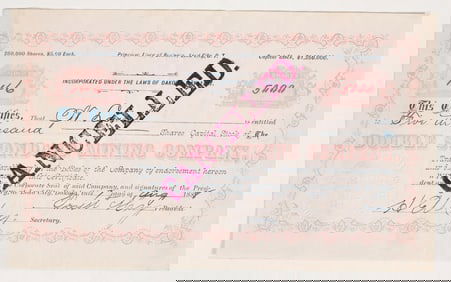 Double Standard Mining Company Stock Certificate [198232]