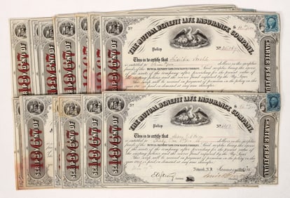 R33 & R34 On Mutual Benefit Life Stocks, 1867, 35 [192284]