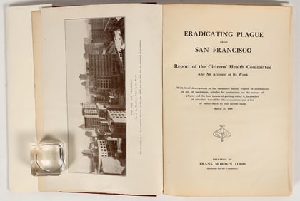 Eradicating Plague from San Francisco by Franklin Morton Todd, 1909 [202313]
