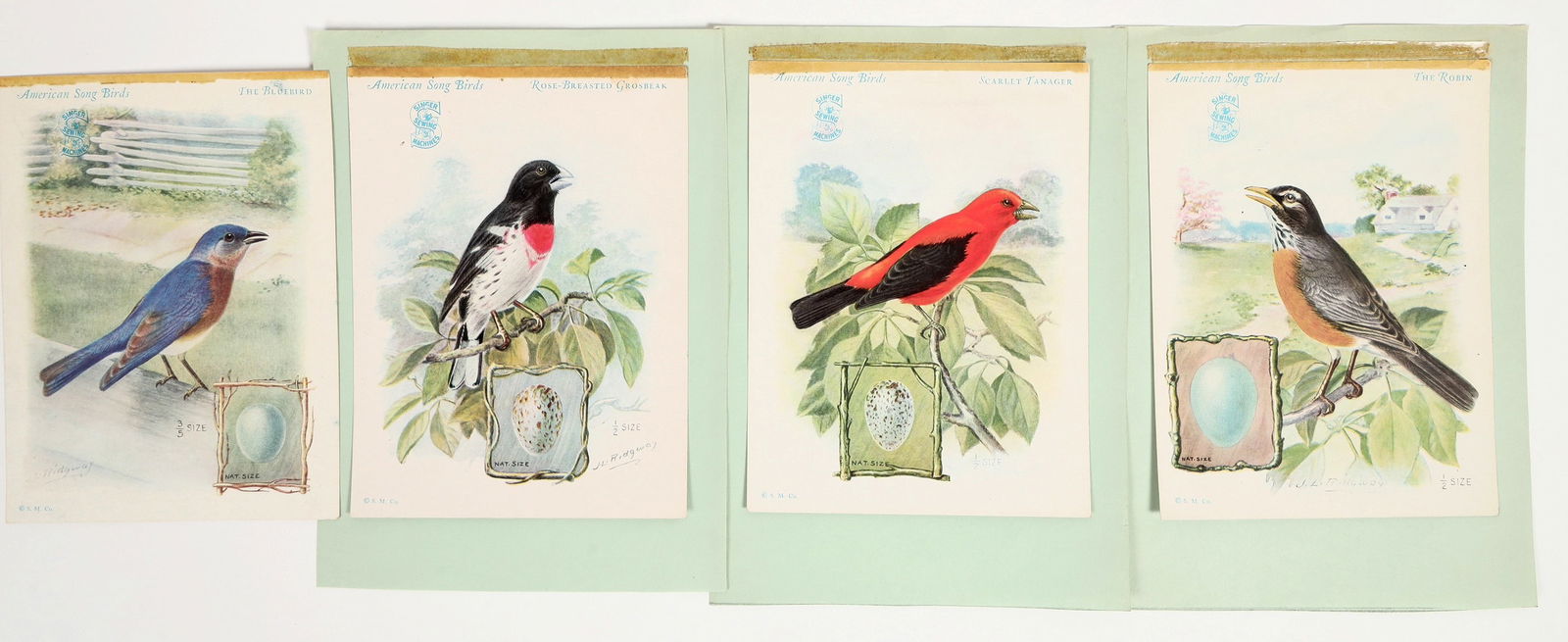 Singer Sewing Machines Bird Cards Group [202292]: Lot of (4) Audubon-style Bird illustrations, on Singer Sewing Machines advertising cards. The illustrations are full-color, even depicting the individual bird's egg. There is the Bluebird, the Rose-Br
