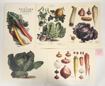 Vilmorin Botanical Print Reproductions [200395]