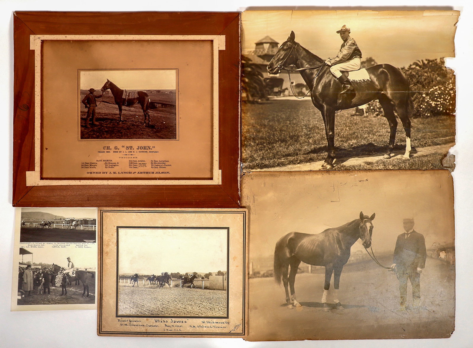 Horse Racing Photos/Plus [195293]: Assortment of racehorse photos, both action and posed photos. They range in sizes from 12"x 14" to 18"x 21" They're in nice condition for their age . Please see photos for more details.^Date: Country 