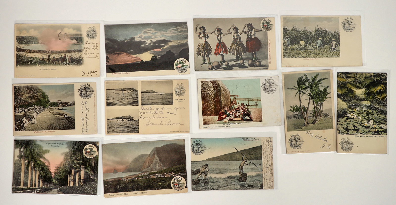 Early Printed Hawaii Postcards, Aloha Nui Series by Hawaii & South Seas Curio Co. [202694]: Lot of 12 different, part of the Aloha Nui series printed by Hawaii & South Seas Curio Company in Honolulu. Views include: Royal Palm Avenue, Honolulu; Waikiki Beach; Surfers at Waikiki; Father Damien