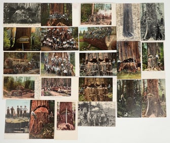 "Lumberjacks Doing Their Thing" Postcards (22) [200771]