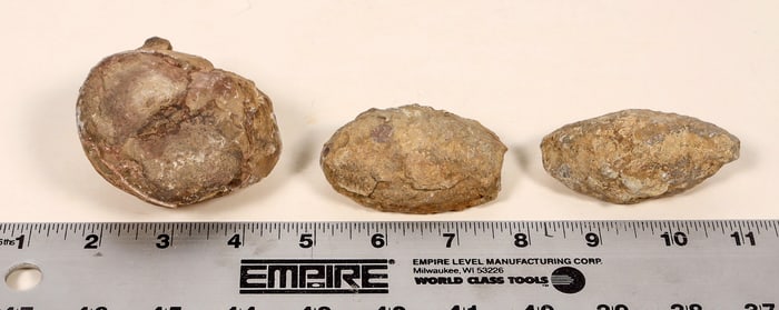 Dinosaur Egg Casts, 3 [194179]