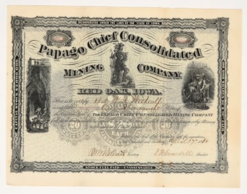 Papago Chief Consolidated Mining Co. Stock Certificate, 1880, to WF Witherell [204120]
