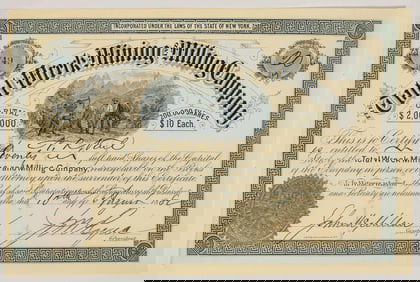 Total Wreck Mining & Milling Co. Stock Certificate, 1882 [204811]