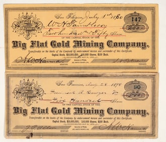 Big Flat Gold Mining Co. Stocks [200255]