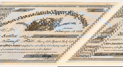 Evoca Consolidated Copper Mining Co. Stock [200256]