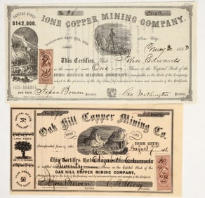 Ione City Mine Stocks  [201225]