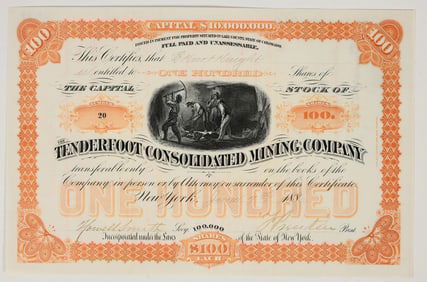 Tenderfoot Consolidated Mining Company Stock Certificate, 1886 [195371]
