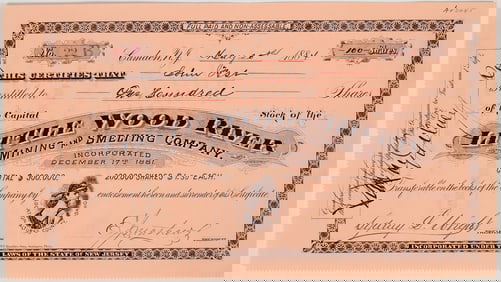 Little Wood River Mining & Smelting Co. Stock Certificate, 1884 [204196]