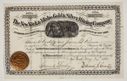 New York & Idaho Gold & Silver Mining Co. Stock Certificate, 1881 [204193]