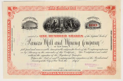 Princess Mill & Mining Company Stock Certificate, Specimen [203577]