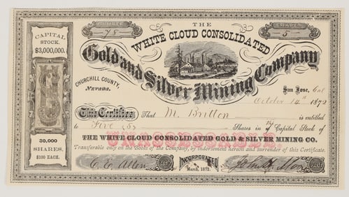 White Cloud Consolidated Gold & Silver Mining Co. Stock Certificate, 1872 [204914]