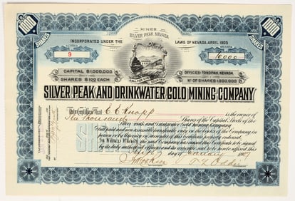 Silver Peak and  Drinkwater Gold Mining Co. Stock, Silver Peak, Nevada, 1907, TL Oddie [195366]