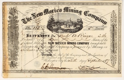 The New Mexico Mining Co. Stock. [200752]