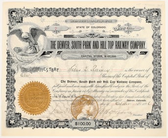 Denver, South Park and Hill Top Railway Company Stock Certificate, 1896 [205383]