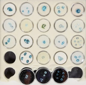 Blue Topaz Faceted Gem Group [204055]
