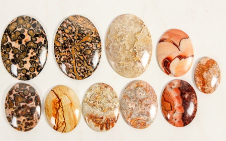 Spherulite and Other Polished Cabochons (10)   [205066]