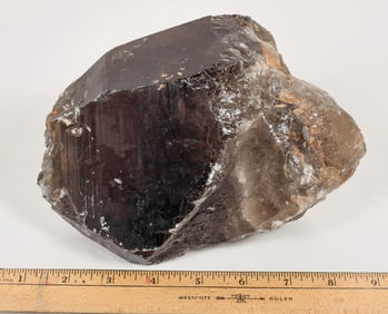 Large Smokey Quartz Crystal [204021]