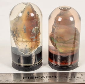 Opal Specimens, Royal Peacock Mine, Unstabilized Display Specimens in Water (2) [204411]