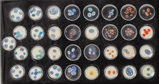 Opals, Magnificent Collection of Polished and Faceted Opals [204052]