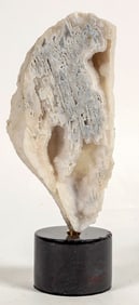 Polished Fossilized Coral from Pakistan Display Piece [204489]