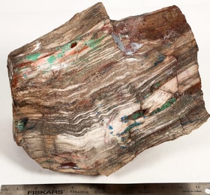 Colla Wood from Turkey Copper Deposit- Extra Rare! [204481]