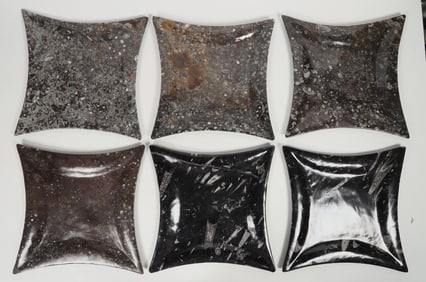 Unique Fossil Plates [204983]