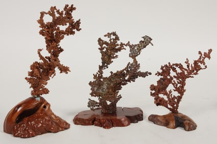 Arizona Native Copper Crystal Leaves [204705]