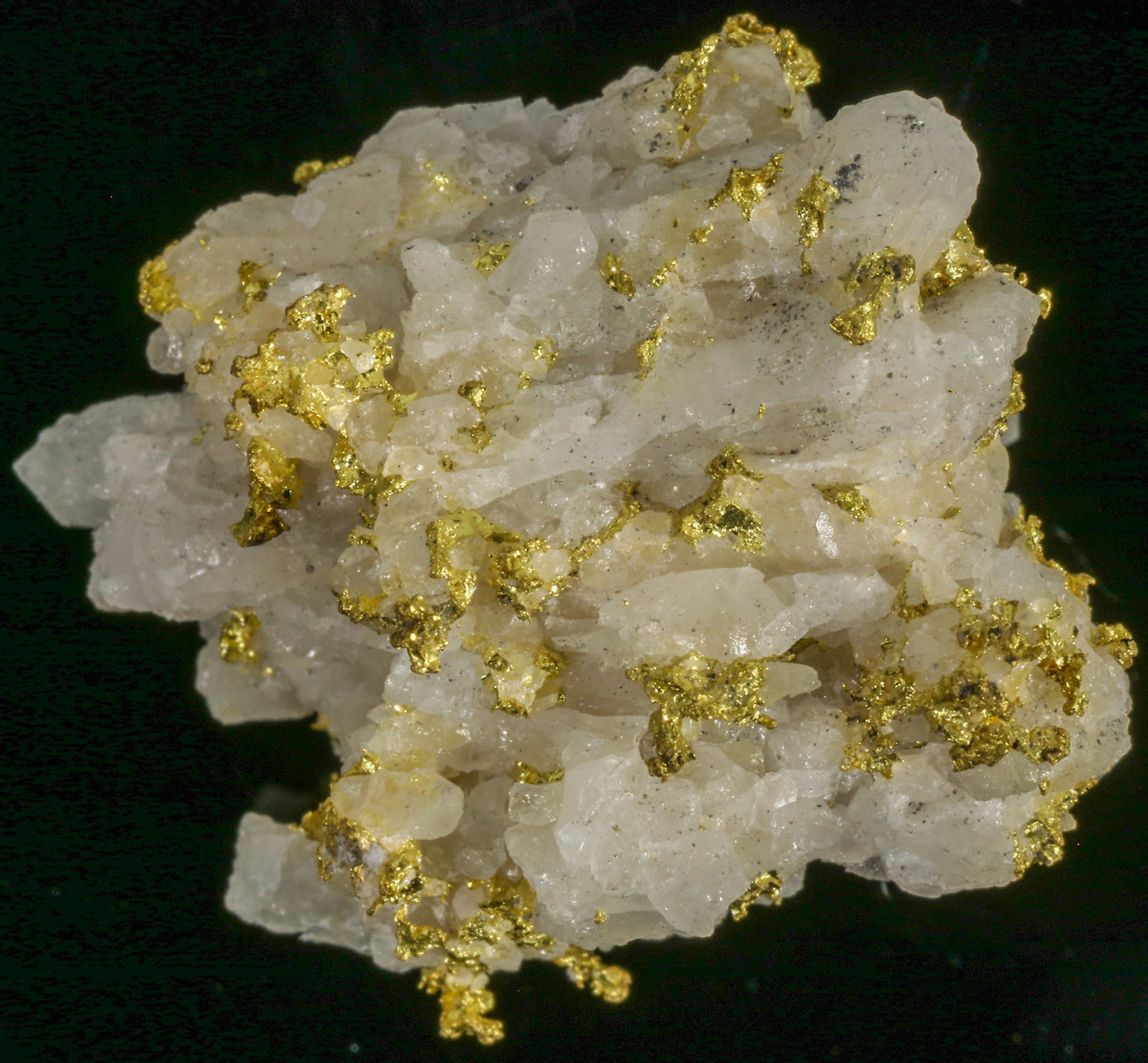 Crystalline and Wire Gold in White Quartz Specimen, Original Sixteen to One Mine [197043]: Stunning native gold specimen from the "million dollar pocket" at the Original Sixteen to one Mine. The specimen shows bright wire and crystalline gold in pure white quartz. About 1/2" around. Overall