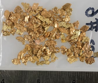 California Gold Nugget Group (About 1 ounce) [203973]