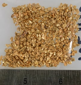 California Gold Nugget Group (About 1 ounce) [203974]