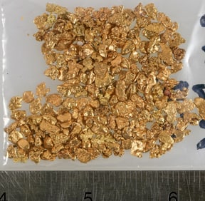 California Gold Nugget Group (About 1 ounce) [203975]