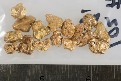 California Gold Nugget Group (1 ounce) [203972]