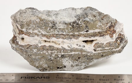 Penasquito High Grade Ore Sample [203728]